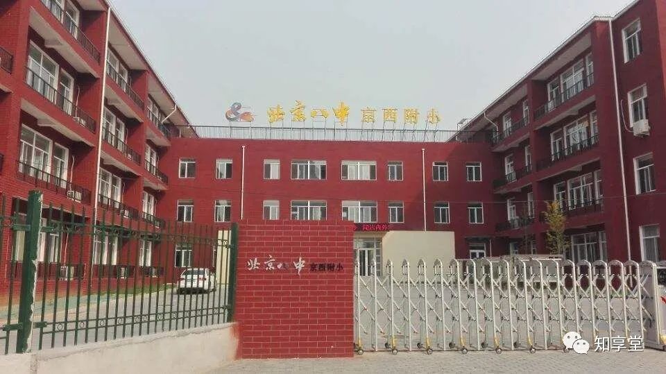 “八少八素”备考指南--有关八少八素，看这篇文章就够了--附往年真题及最全培训资料